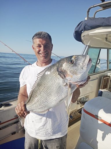 DORADA