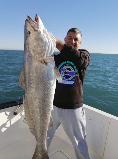 CORVINA